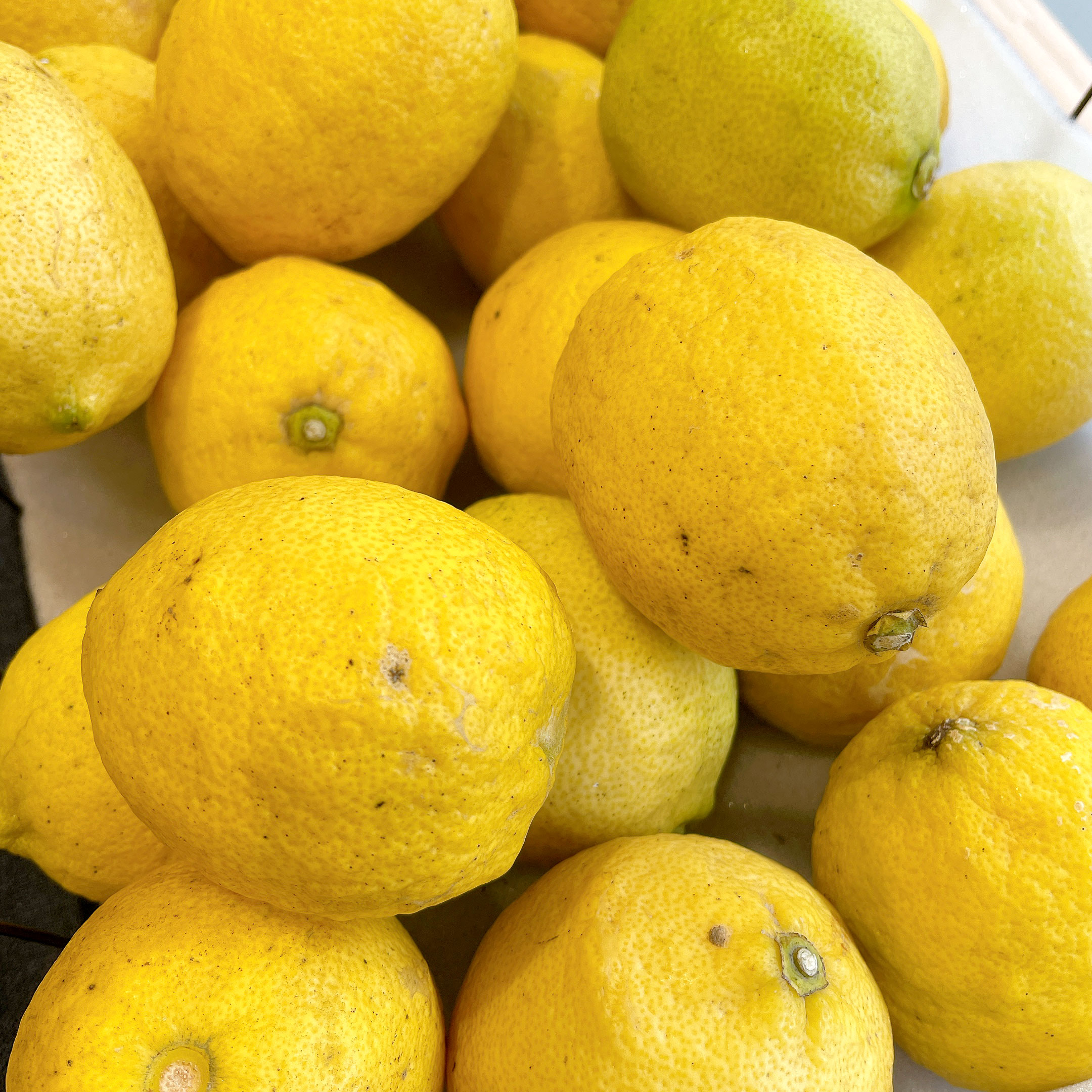 蔵マルシェおすすめ食材の無農薬レモン